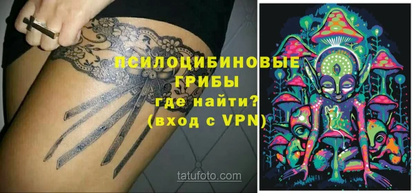 стафф Алексин