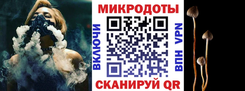 Псилоцибиновые грибы Cubensis  как найти   Анива 